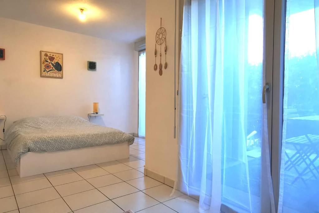 Grand Studio Lumineux Et Sa Terrasse Au Calme تولوز المظهر الخارجي الصورة