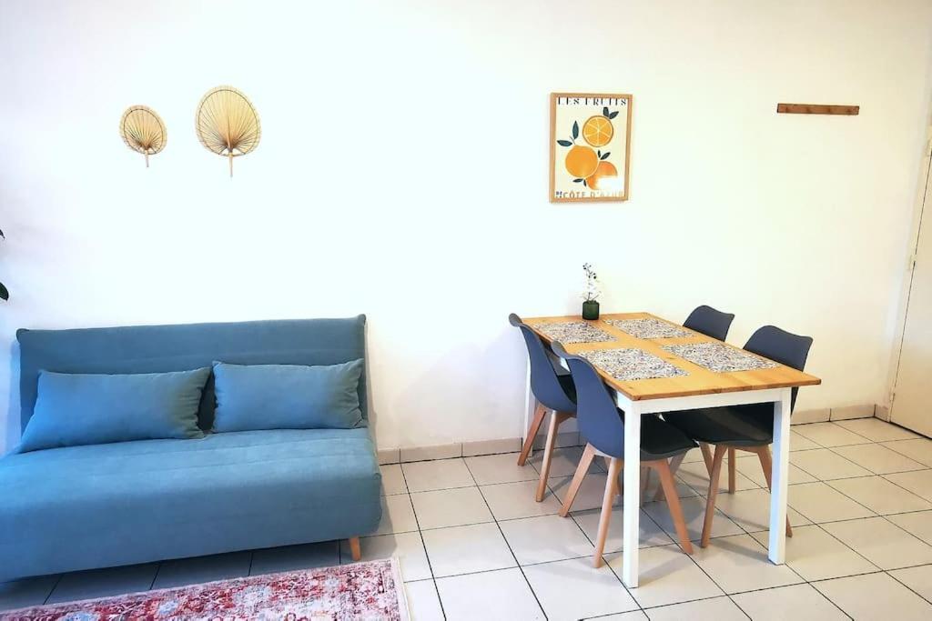 Grand Studio Lumineux Et Sa Terrasse Au Calme تولوز المظهر الخارجي الصورة