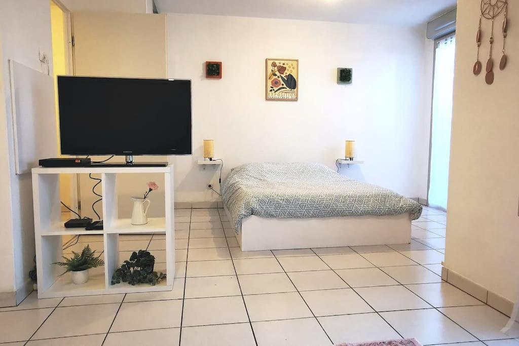 Grand Studio Lumineux Et Sa Terrasse Au Calme تولوز المظهر الخارجي الصورة