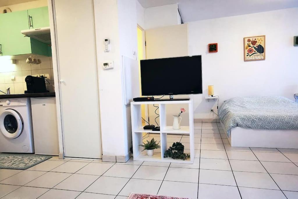 Grand Studio Lumineux Et Sa Terrasse Au Calme تولوز المظهر الخارجي الصورة