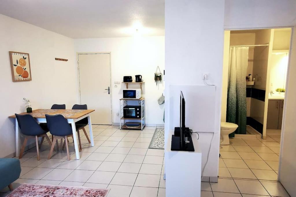 Grand Studio Lumineux Et Sa Terrasse Au Calme تولوز المظهر الخارجي الصورة